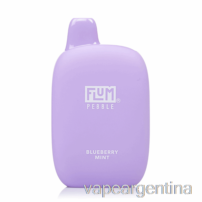 Flum Pebble 6000 Vape Desechable Blueberry Mint Argentina